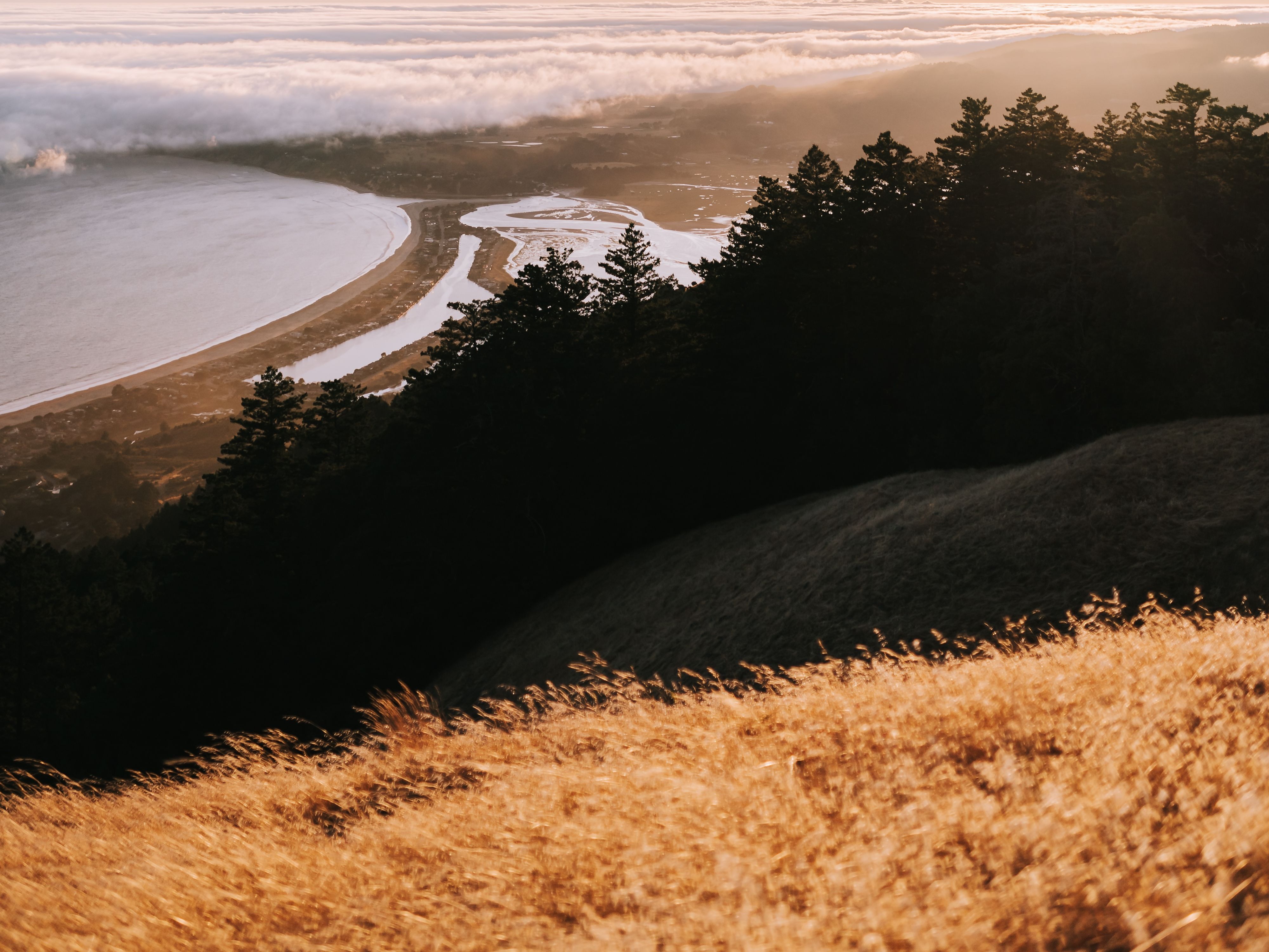 Marin coastline near Nura Recover